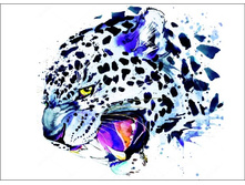 Le017 30�40 ���� 550 �.jpg