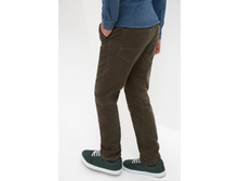 20110160185   Gemini 1   �������(������).jpg