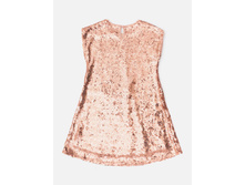 20210200294   Bagira   �����-�������(���).jpg