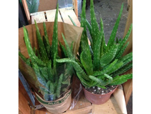 ���� ���� - 350 - 400 ���.