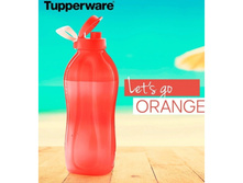 ���-������� 2�. � ������ �������: ������ 32��. ��ߣ� 2 �. 1050 ���