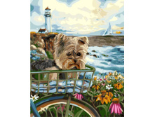 Gx5540 40�50 348 �.jpg