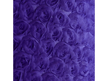 ���. ����