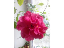 59649eef5117a 201707081024401.jpg