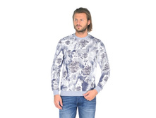 3913 �����.jpg