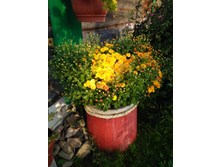 IMG 20180908 073853.jpg