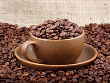 Coffee-bean.jpg