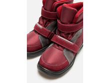 20228210029   Buono-G   �����-����������(������).jpg