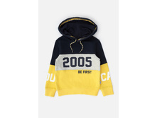 20110100167   Fraser   �������(���).jpg