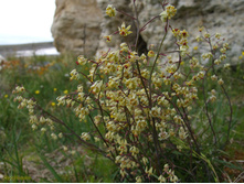 ��������� ���������