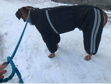 49840143 2239096656378684 5369378542192689152 n.jpg