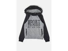 20110100168   Ledger   �����(���).jpg