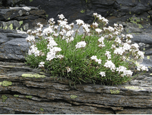 ��������� �p�������.gif