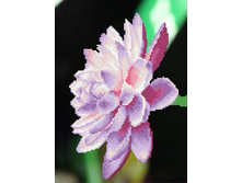 Lep005 30�40 ���� 646 �.jpg