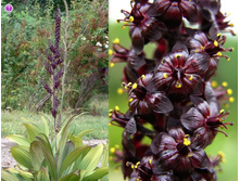 �������� ������