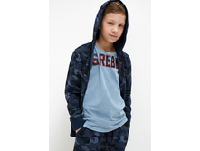 20110170046   Lewis   ����� �����.jpg