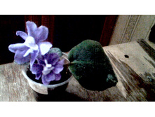 ��-������