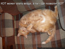 ��� ����� ����� �����, � �� - ��� �������� ���