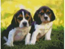 Lzg007 ��� ���������� ���� 838 �.jpg