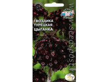 �������� �������� �������.jpeg