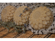 ���� � ����������