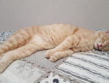 20190106 201210.jpg