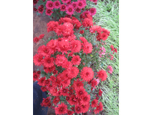 18. �������� ���