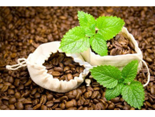 2-mint-leaves.jpg