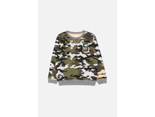 20120100150   Diatel   �������(���).jpg