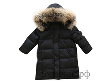 �. 499 ������ Moncler ������ 5599 ���.