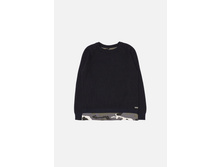 20110310057   Davidson   �����-�������(���).jpg