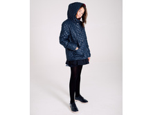 ���. ����