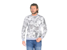 3913 ����������.jpg