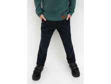 20120160180   Gemini   �����-�������(������).jpg