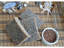 � ��������� � ���������� ���������