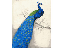 Gx8252 40�50 348 �.jpg