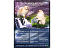 ������ �� �������� ����. �� 23 ������� 2018�