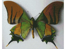 Ci-022 30�40 ���� 550 �.jpg