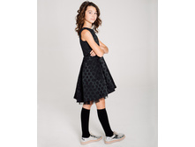 ���. ����