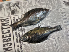 ����� ���������  (1��)