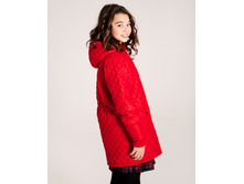 ���. ����