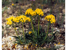 �������� ���������.jpg