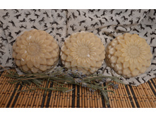 ���� � ����������