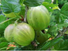 ��������� ��������� +19�