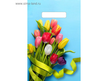 ����� "��������", �������������� � �������� ������, 30�20 ��, 30 ��� 1,66��� ���100�� (+�� 0,33��� �� 1��)