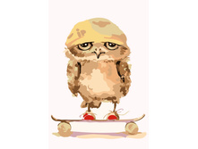 Mc1030 20�30 ���� 240 � �������.jpg