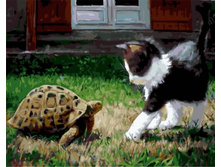 Gx5753 40�50 348 �.jpg