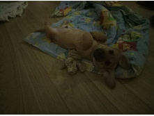 1547575036719 flyme1.jpg