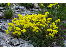 ��������� ���.jpg