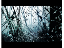 RSn2 GyoFzY.jpg
